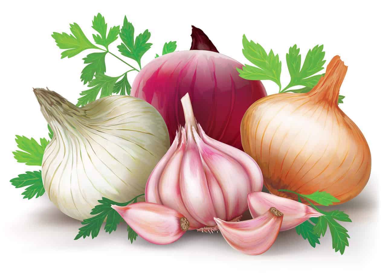 Prebiotics like onions and garlic are delicious additions to a gut health diet.