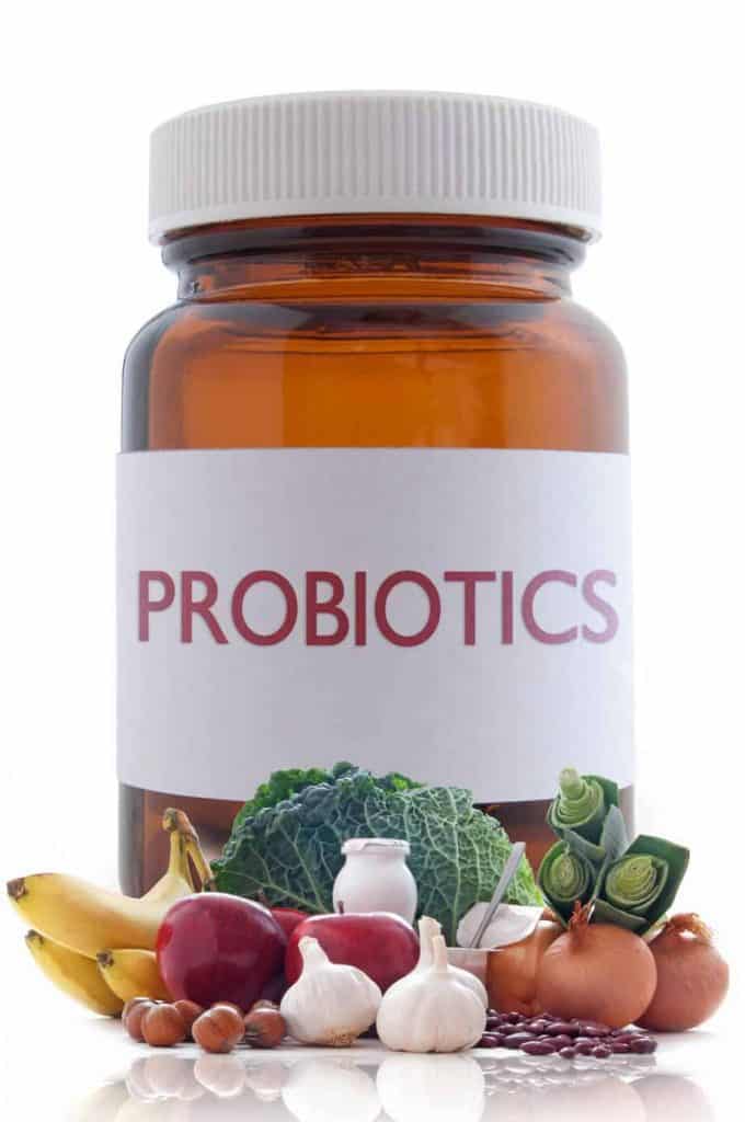 Probiotics container with vegetables that provide natural probiotics and prebiotics.
