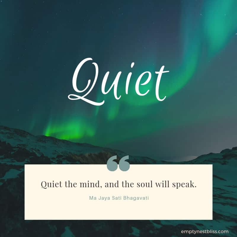 Quote:  quiet the mind and the soul will speak.  By Ma Jaya Sati Bhagavati